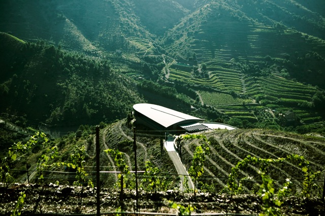 Bodega Ferrer Bobet Bodega Ferrer Bobet